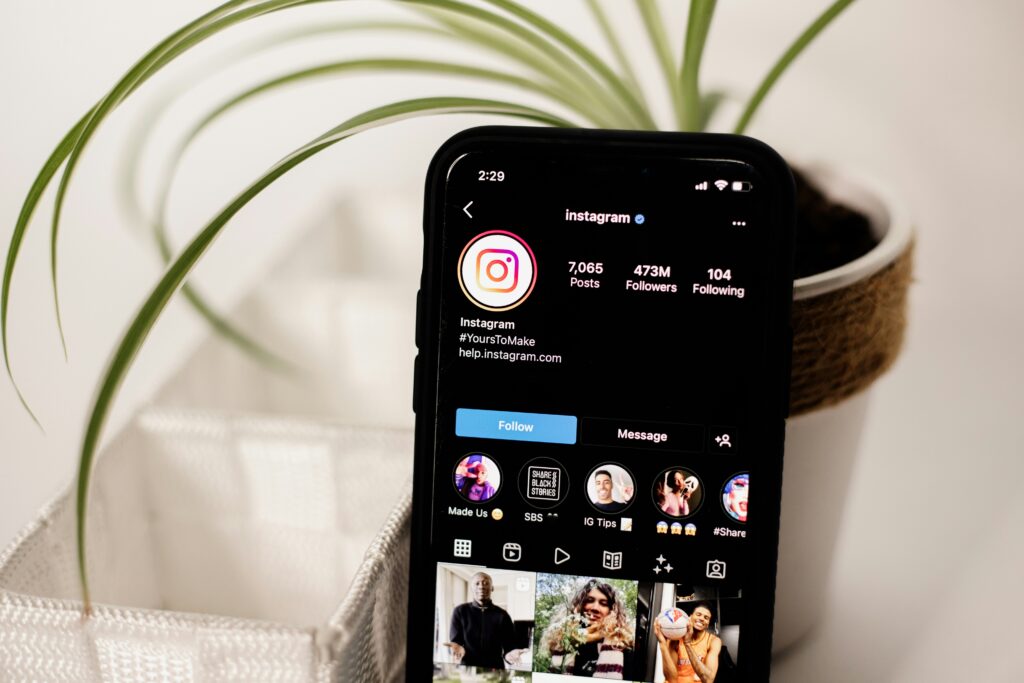 Melt Insight la primera plataforma de gestión de empresas de moda