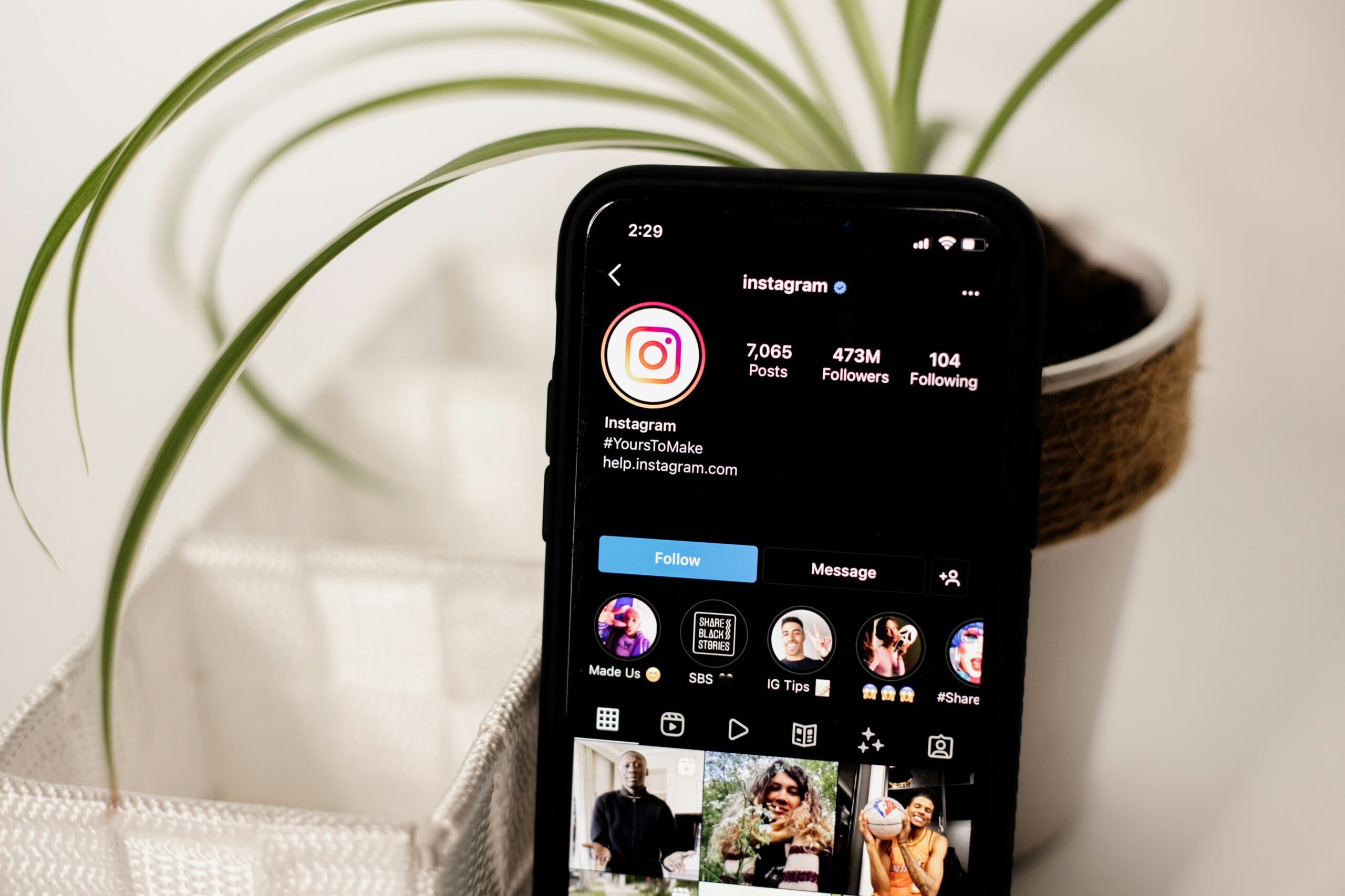 Vender por WhatsApp y redes sociales sin tienda online - MELT Insight